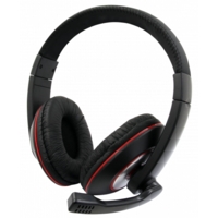 Headsets and Speakers