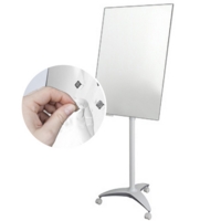 Glassboard Flipchart Easel