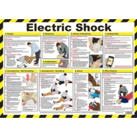 Electric Shock Poster 590x420mm PVC