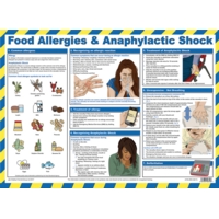 Food Allergies 590x420mm PVC Poster Food Allergies 590x420mm PVC Poster