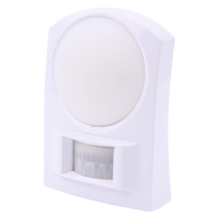 Wall Light with Motion Detector