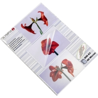 A3 Olympia Laminating Pouch 250 Micron Box 50 A3 Olympia Laminating Pouch 250 Micron Box 50