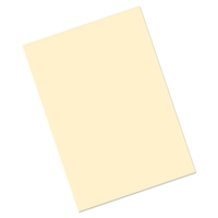 A4 Wove Cream Professional Paper, 100g