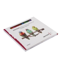 Spectrum Very Thick Pencils Set24 Asrtd Spectrum Very Thick Pencils Set24 Asrtd