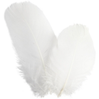 White Goose Feathers - 3g White Goose Feathers - 3g