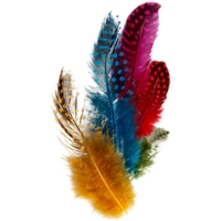 Coloured Speckled Feathers - 3g Coloured Speckled Feathers - 3g