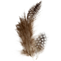 Speckled Feathers - 3g Speckled Feathers - 3g