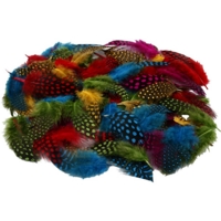 Coloured Speckled Feathers - 50g