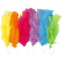 Bright Coloured Feathers - Pack of 18 Bright Coloured Feathers - Pack of 18