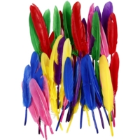 Coloured Feathers - 13cm - Pack of 48 Coloured Feathers - 13cm - Pack of 48