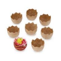 Papier Mache Eggshells Pack 8 Papier Mache Eggshells Pack 8