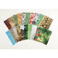 Natures Trail A4 40 Sheets Natures Trail A4 40 Sheets