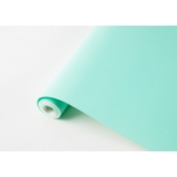 Poster Paper Roll 760mmx10m Peppermint