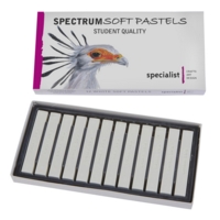 Spectrum Soft Pastels Pack Of 12 White Spectrum Soft Pastels Pack Of 12 White