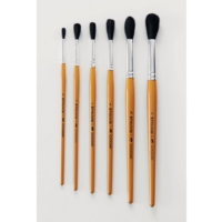 Schoolex Brushes Classpack 50