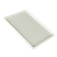 Large Painting Tray 302 X 214mm