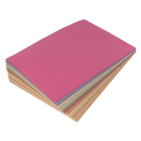 Sugar Paper 100gsm A1 Assorted PK250