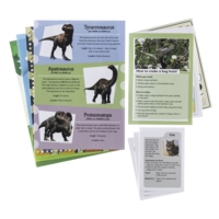 Decodable Reading Pack - Phase 5 Decodable Reading Pack - Phase 5
