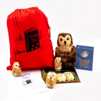 Travelling Tales Owl Babies