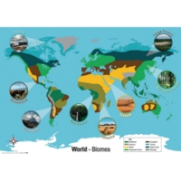 World Biomes Map