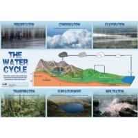 Water Cycle Poster