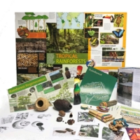 Amazonian Rainforest Box Amazonian Rainforest Box