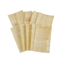 Papyrus sheets A4 P10 Papyrus sheets A4 P10
