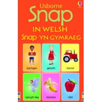 Usborne Welsh Snap Cards