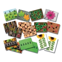 Ladybugs Early Number Cards