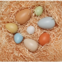 Size Sorting Eggs Size Sorting Eggs