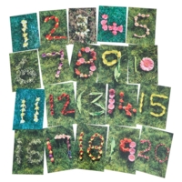 Natural Spring-summer Number Cards Natural Spring-summer Number Cards