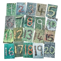 Natural Autumn-winter Number Cards Natural Autumn-winter Number Cards