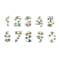 Resin Floral Numbers