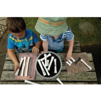 Dino Bones Match And Measure Dino Bones Match And Measure