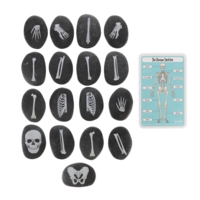 Discovery Stones Human Bones Discovery Stones Human Bones
