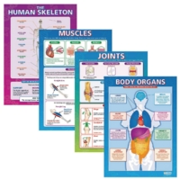 Laminated Body Parts Posters
