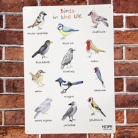 UK Birds Outdoor Sign UK Birds Outdoor Sign
