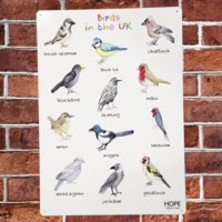 UK Birds Outdoor Sign