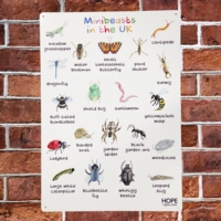 UK Minibeasts Outdoor Sign UK Minibeasts Outdoor Sign