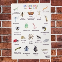 UK Minibeasts Outdoor Sign