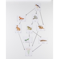 Food Chain UK Countryside Magnetic Tiles