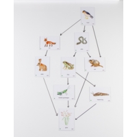 Food Chain UK Countryside Magnetic Tiles Food Chain UK Countryside Magnetic Tiles