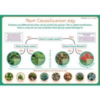 Classifying Plants Poster Classifying Plants Poster
