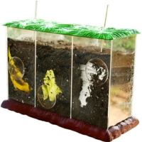 See-through Compost Containers