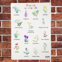UK Plants Outdoor Sign
