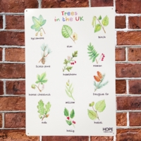 UK Trees Outdoor Sign UK Trees Outdoor Sign