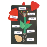 Plant In A Pocket Plant In A Pocket