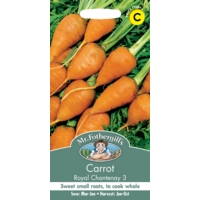 Carrot Seeds Carrot Seeds