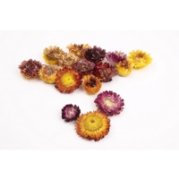 Dried Flower Heads (75g)