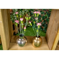 Small Vases - Pack of 2